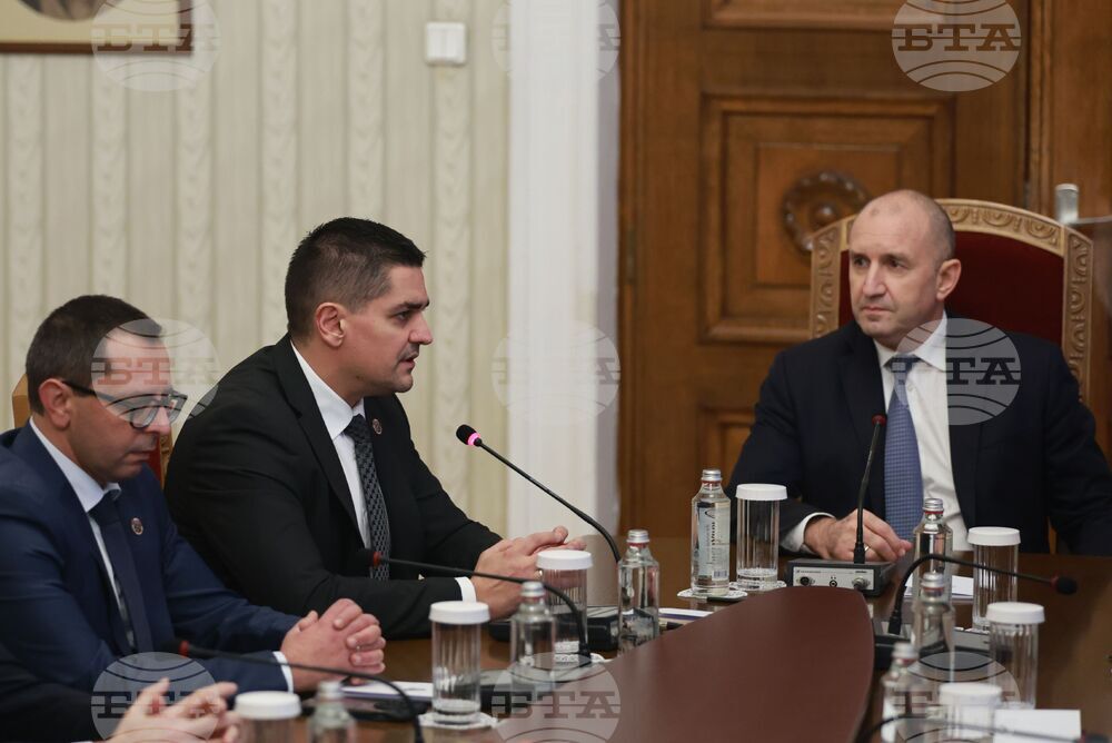 President Radev Holds Consultations with MECh