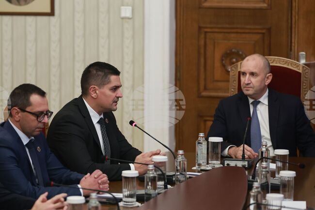 President Radev Holds Consultations with MECh