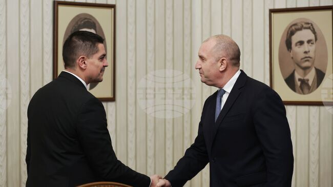 President Radev Holds Consultations with MECh, Discusses Possible Early Parliamentary Elections