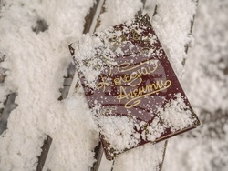 Започнаха снимките на новия игрален филм на БНТ „Коледни агенти“. Снимка: БНТ