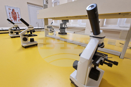 Хасково - програма „Образование за здраве“ - открит урок