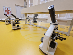 Хасково - програма „Образование за здраве“ - открит урок