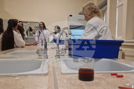 Хасково - програма „Образование за здраве“ - открит урок