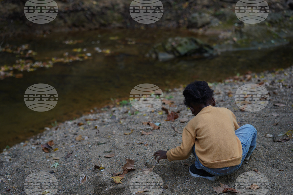 Social Disconnection