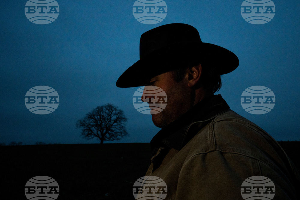 Social Disconnection