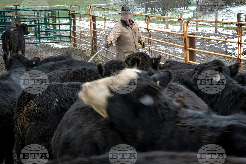 Social Disconnection