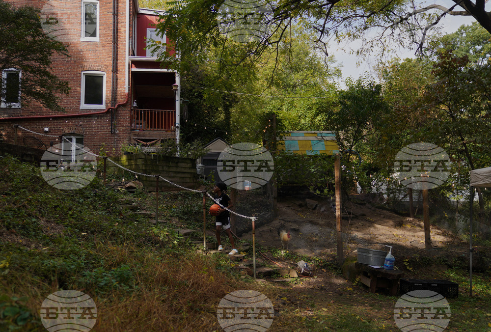 Social Disconnection