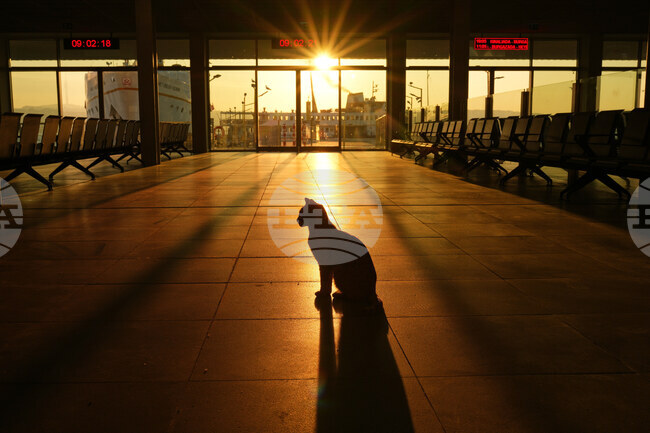 APTOPIX Turkey Daily Life