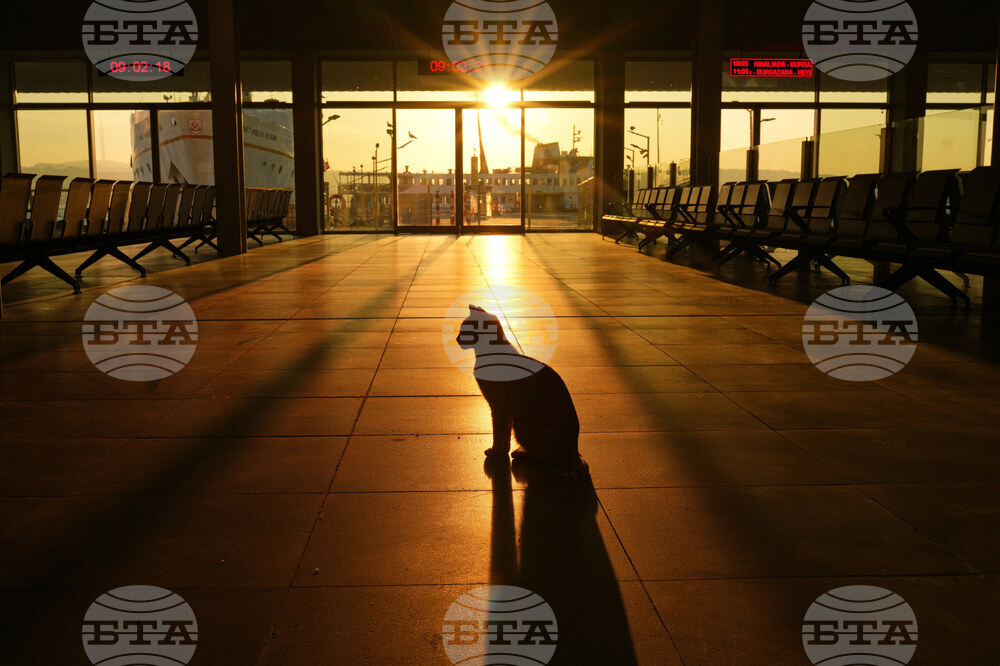 APTOPIX Turkey Daily Life