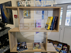 Видин - болница - „Библиотерапия“ - инициатива