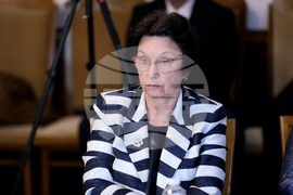 Парламент - Комисия за прякото участие на гражданите, жалбите и взаимодействието с гражданското общество