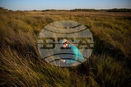 Climate Saving Cranes Habitat