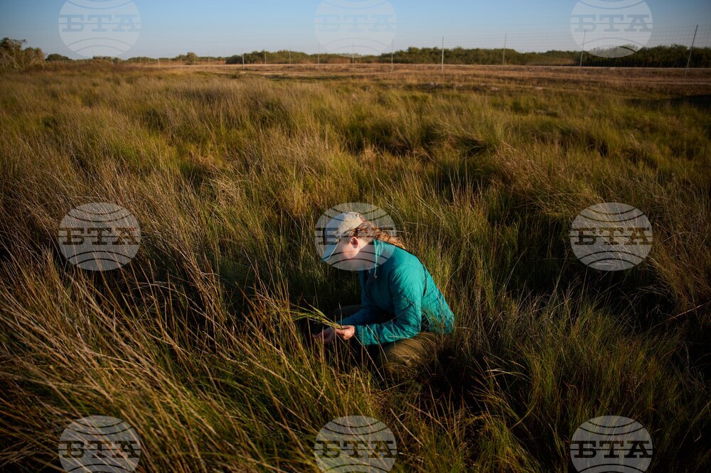 Climate Saving Cranes Habitat