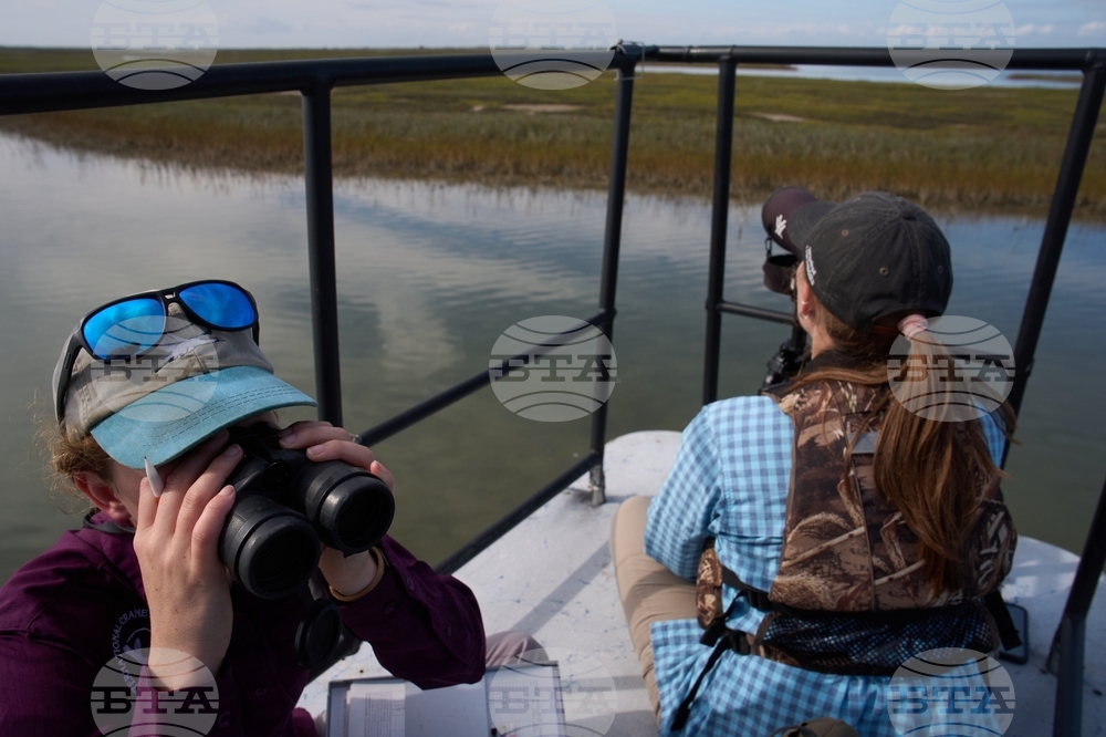 Climate Saving Cranes Habitat
