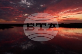 Climate Saving Cranes Habitat