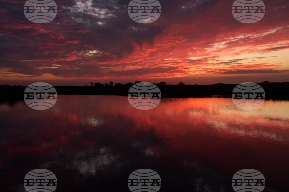 Climate Saving Cranes Habitat