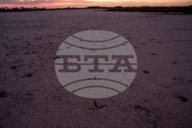 Climate Saving Cranes Habitat