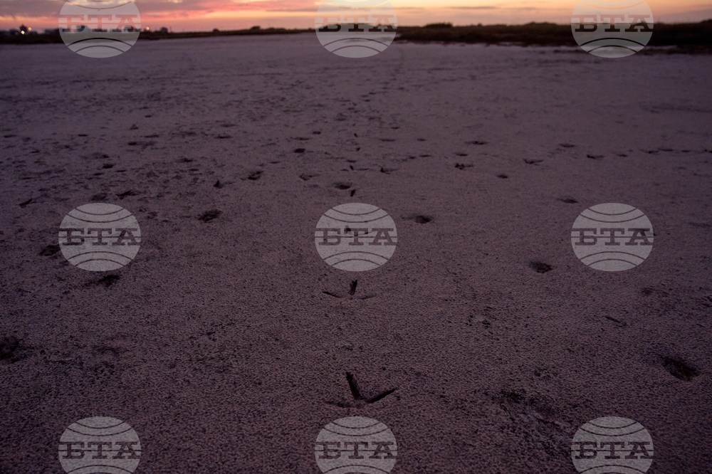 Climate Saving Cranes Habitat