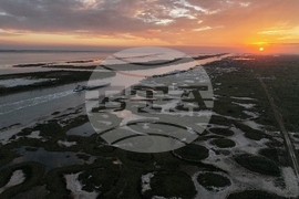 Climate Saving Cranes Habitat