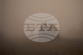 Climate Saving Cranes Habitat