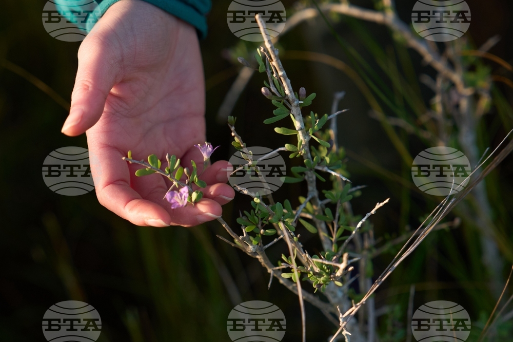Climate Saving Cranes Habitat