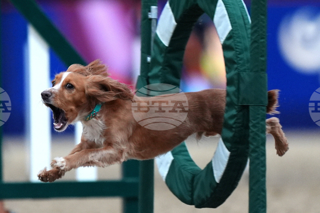 APTOPIX Britain Daily Life