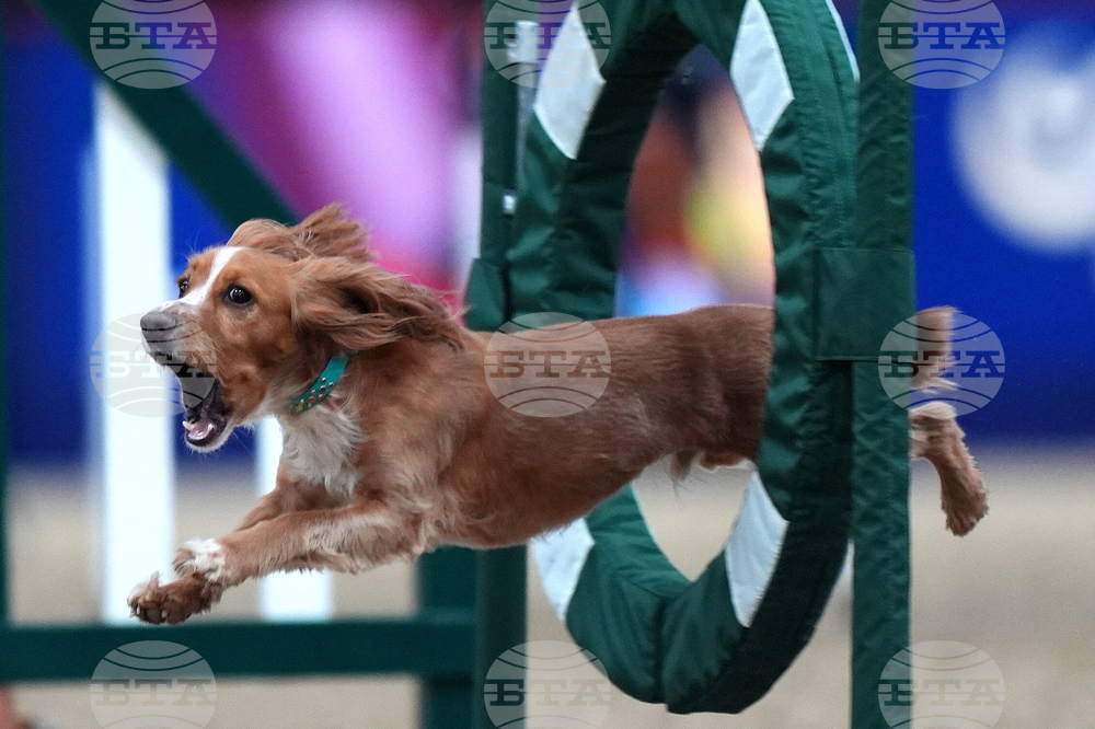 APTOPIX Britain Daily Life