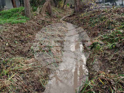 Снимка: Община Варна