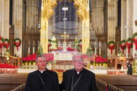 Vatican NY Archbishop