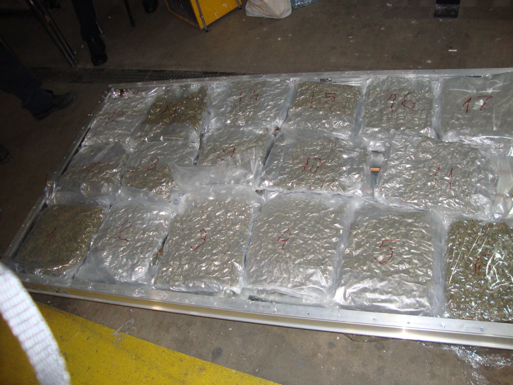 Русенската прокуратура обвини мъж за контрабанда на 82 кг марихуана за над 1,3 млн. лева