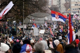 2025 г. през обектива на фоторепортерите на БТА