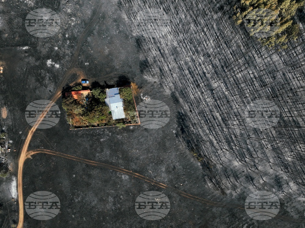 2025 г. през обектива на фоторепортерите на БТА