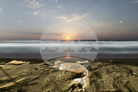 2025 г. през обектива на фоторепортерите на БТА