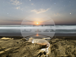 2025 г. през обектива на фоторепортерите на БТА