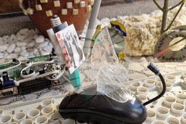 Кърджали - изложба - библиотека