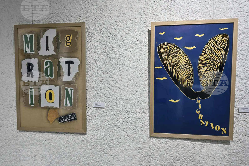 Добрич - Художествена галерия - годишна изложба