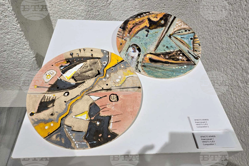 Добрич - Художествена галерия - годишна изложба