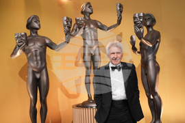 Harrison Ford Award