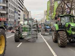 Снимка: Национална асоциация на зърнопроизводителите 