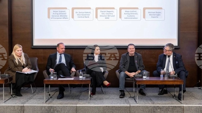 МИНА: В Черна гора е в ход хармонизиране с митническите стандарти на ЕС