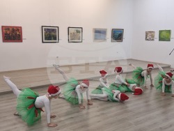 Плевен - коледна изложба - Група на плевенските художници