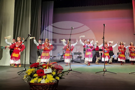 Разград - Капански ансамбъл - концерт-спектакъл