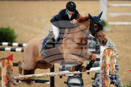 Britain International Horse Show