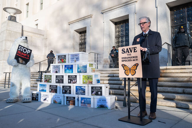 Protect the Endangered Species Act Rally
