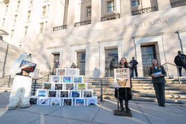 Protect the Endangered Species Act Rally