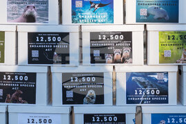 Protect the Endangered Species Act Rally