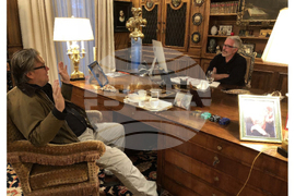 Trump Epstein Congress