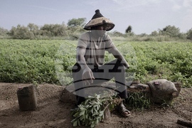 Pictures of the Week Global Photo Gallery