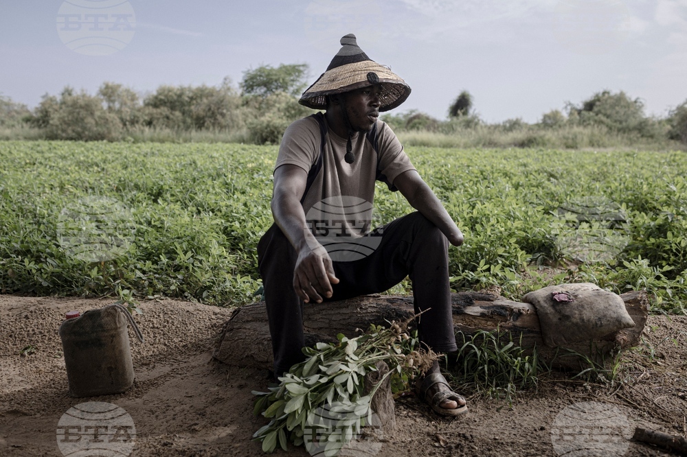 Pictures of the Week Global Photo Gallery