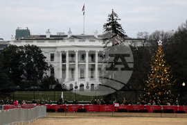 Washington Christmas Tree